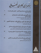 برنامه ریزی توسعه کالبدی - پاییز 1403 - شماره 35