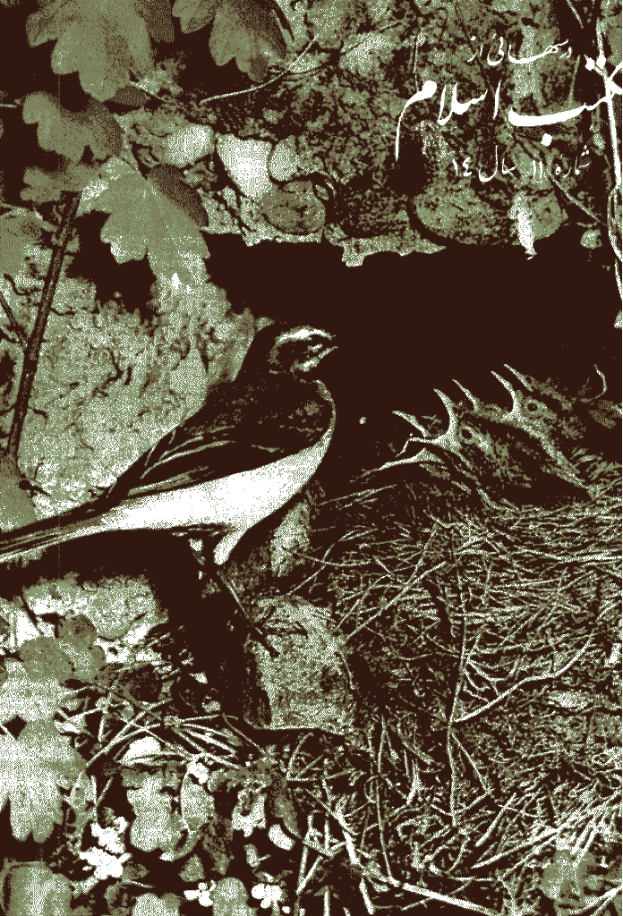 درسهایی از مکتب اسلام - آبان 1352، سال چهاردهم - شماره 11