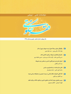 فقه حکومتی - پاییز و زمستان 1399 - شماره 10