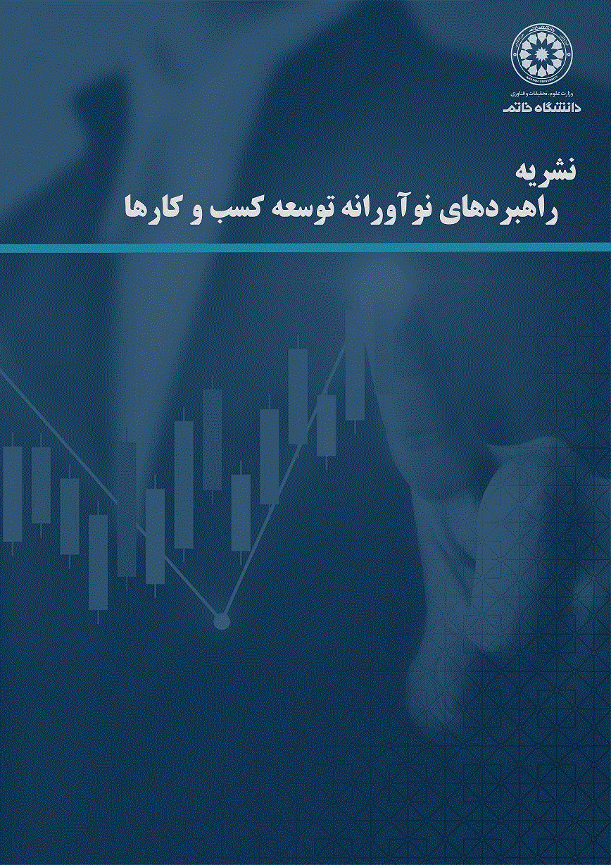 راهبردهای نوآورانه توسعه کسب و کارها - پاییز 1404 - شماره 3