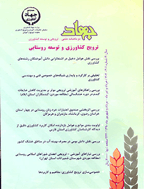 جهاد - فروردین و اردیبهشت 1386 - شماره 276