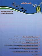 پژوهش های مدیریت انتظامی - زمستان 1389، سال پنجم - شماره 4