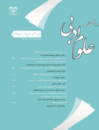 پژوهش‌های دستوری و بلاغی - بهار و تابستان 1390 - شماره 6
