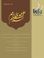 پژوهش های مهدوی - بهار 1398 - شماره 28