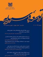 توسعه و سرمایه - بهار و تابستان 1404 - شماره 18