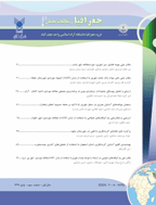 جغرافیا و مطالعات محیطی - پاییز 1395 - شماره 19